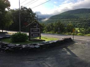 Отель Cave Mountain Motel, Виндхам